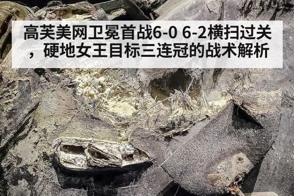高芙美网卫冕首战6-0 6-2横扫过关，硬地女王目标三连冠的战术解析