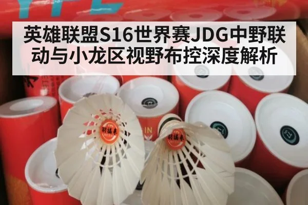 英雄联盟S16世界赛JDG中野联动与小龙区视野布控深度解析