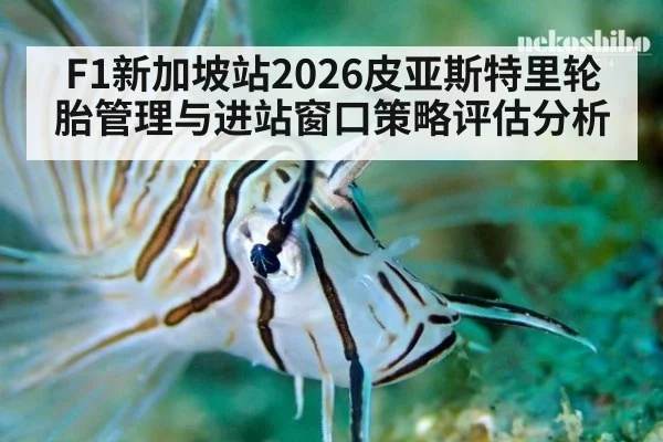 F1新加坡站2026皮亚斯特里轮胎管理与进站窗口策略评估分析
