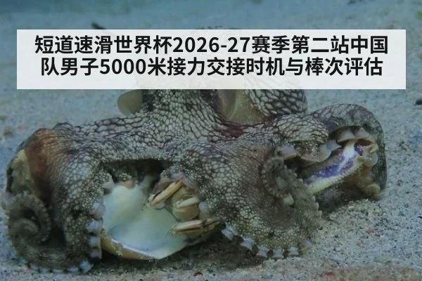 短道速滑世界杯2026-27赛季第二站中国队男子5000米接力交接时机与棒次评估
